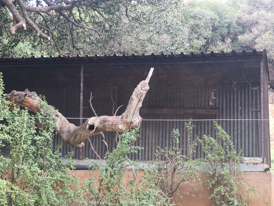 To Let 5 Bedroom Property for Rent in Hartbeespoort Rural North West